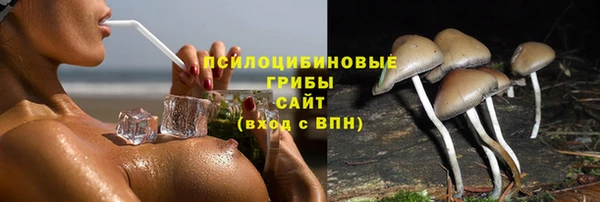 соль ск Армянск