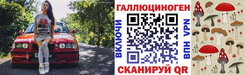 Купить закладки  Северобайкальск  Псилоцибиновые грибы GOLDEN TEACHER 